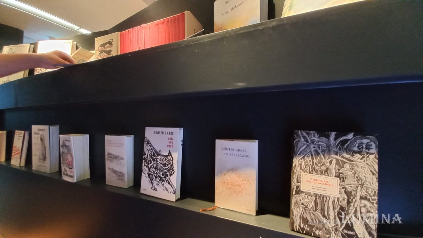 Günter Grass, un interesant artist plastic  311897