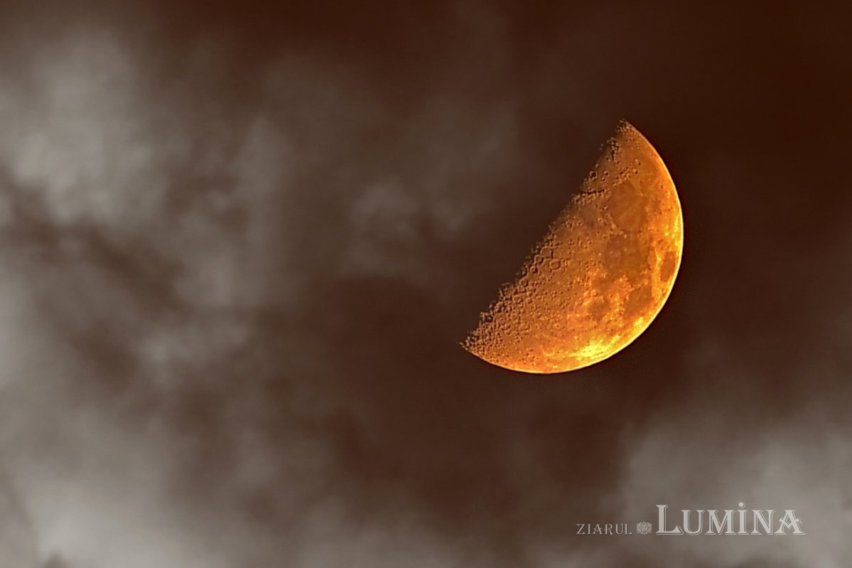 Apocalipsa de fiecare zi 312334