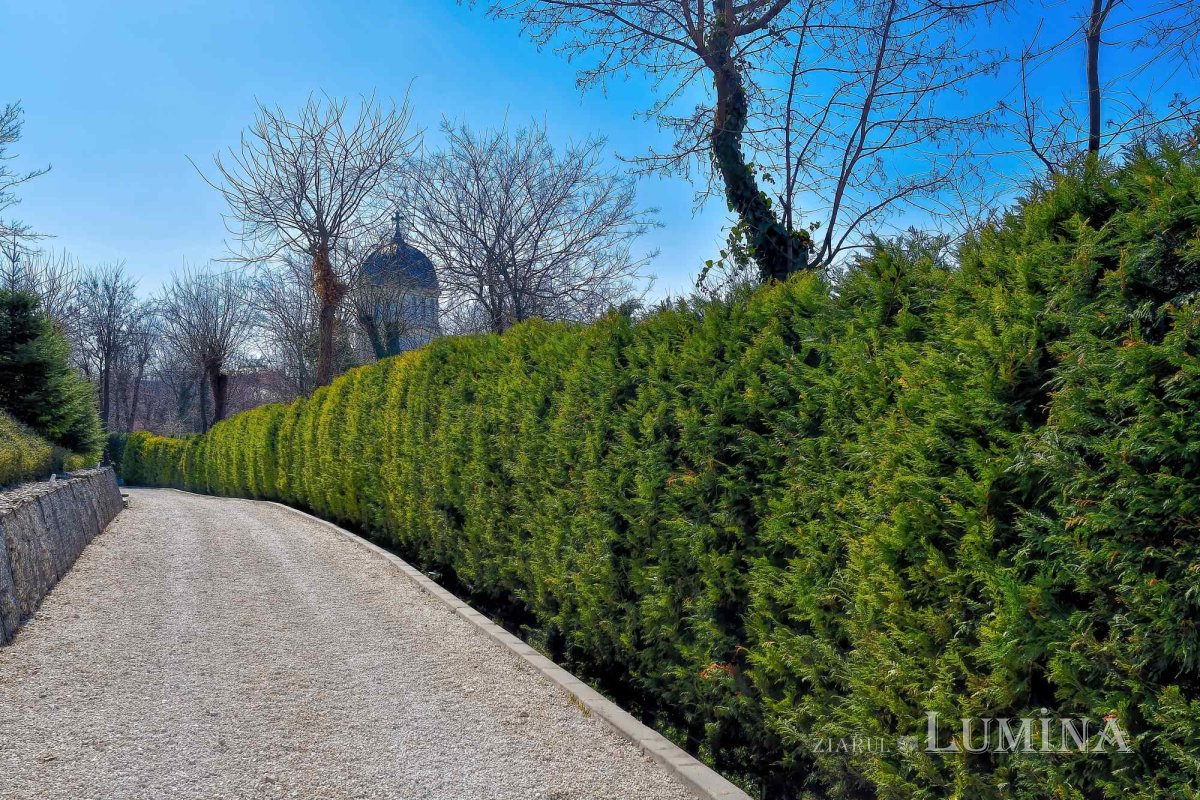 Pași spre sinceritatea sinelui 314880