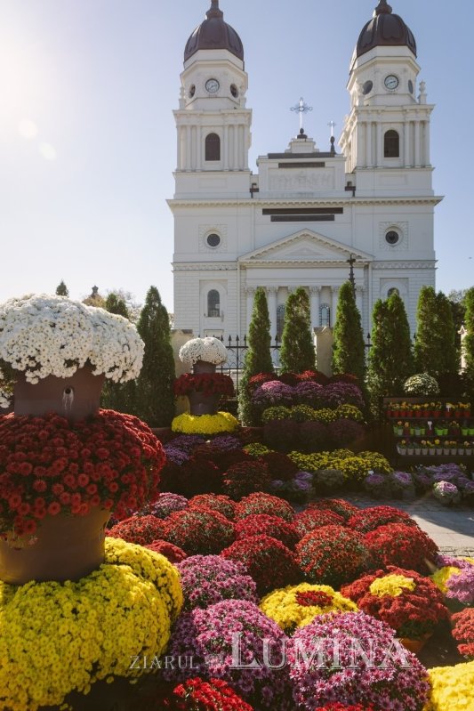 Actualitatea muzicii bisericeşti psaltice şi corale la Catedrala Mitropolitană din Iaşi 315125