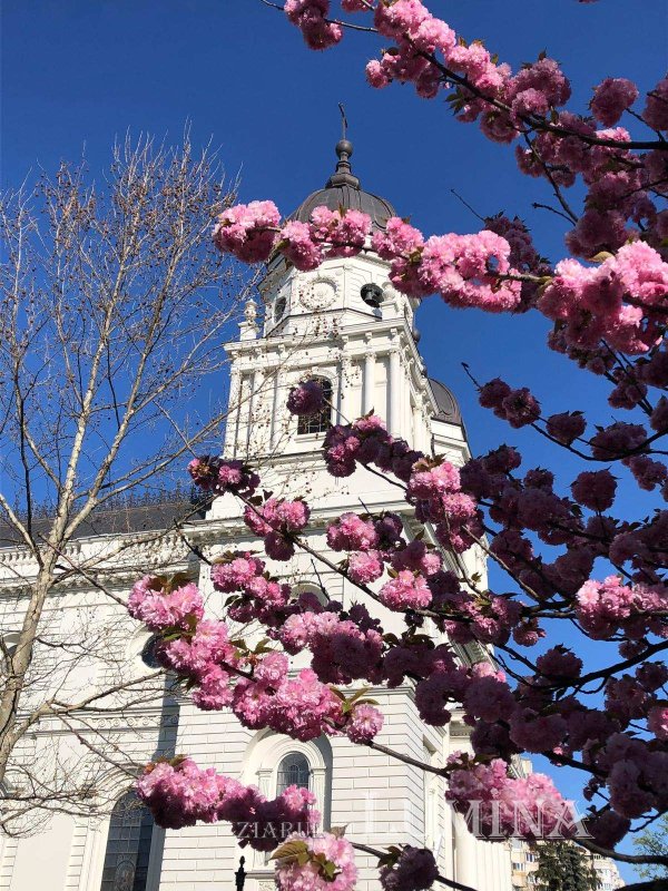 Actualitatea muzicii bisericeşti psaltice şi corale la Catedrala Mitropolitană din Iaşi 315129