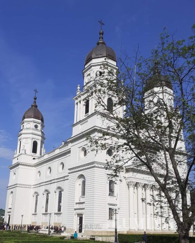 Actualitatea muzicii bisericeşti psaltice şi corale la Catedrala Mitropolitană din Iaşi 315130