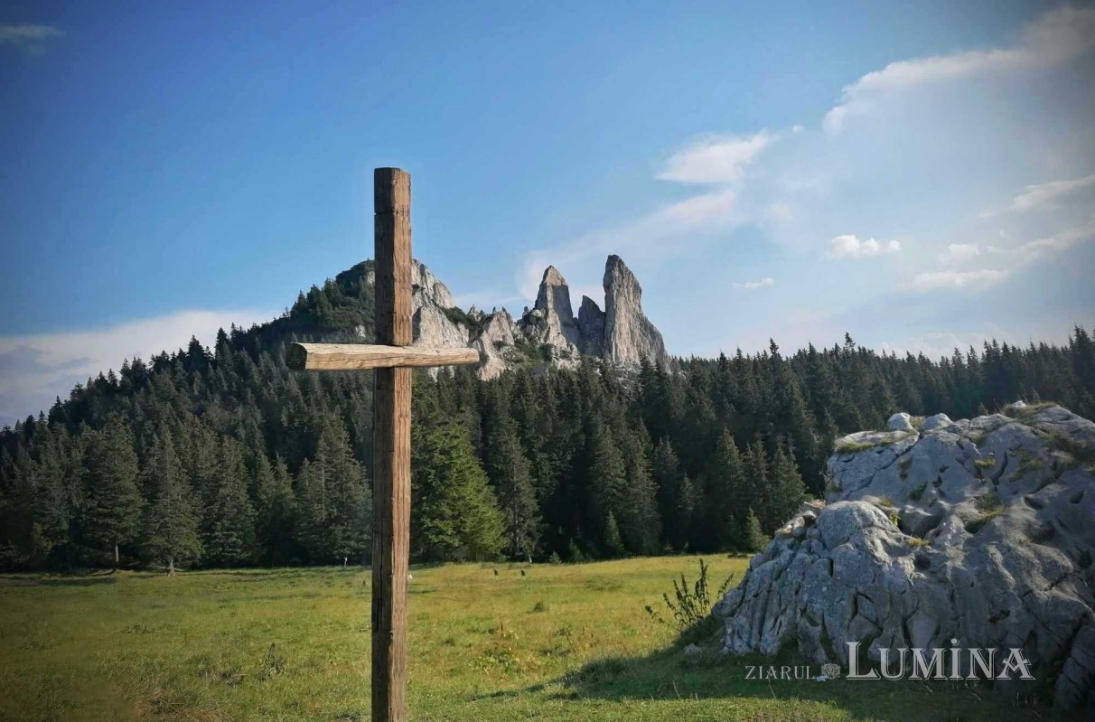 Libertate veșnică sau bogăție trecătoare?  235359