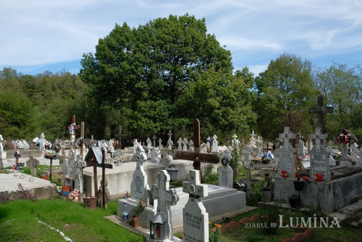 Da, veșnicia s-a născut la sat! 316947