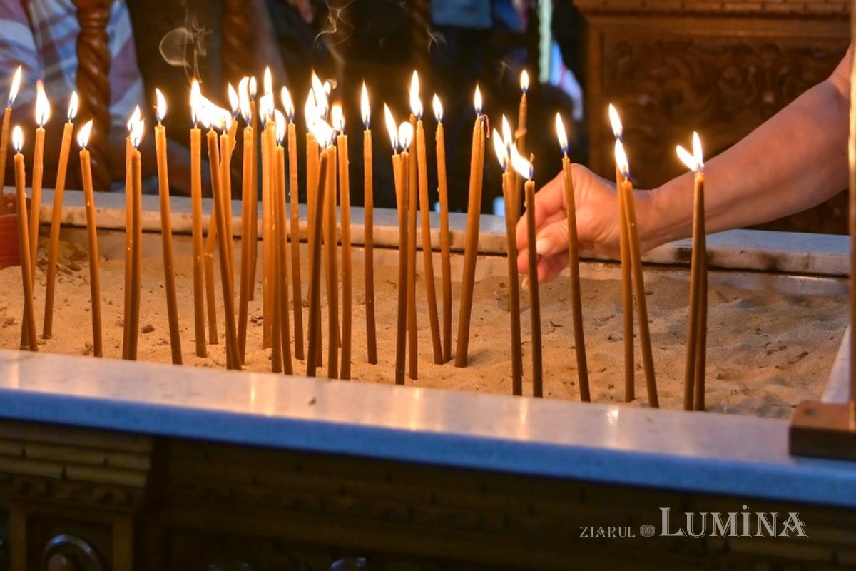 Efemeritatea acestei vieți 307792