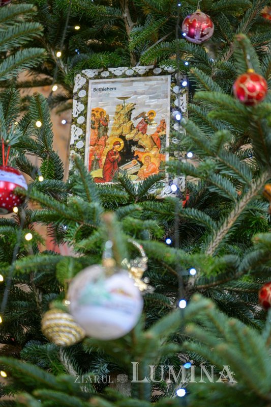 Ultimele cete de colindători la Reședința Patriarhală 319473