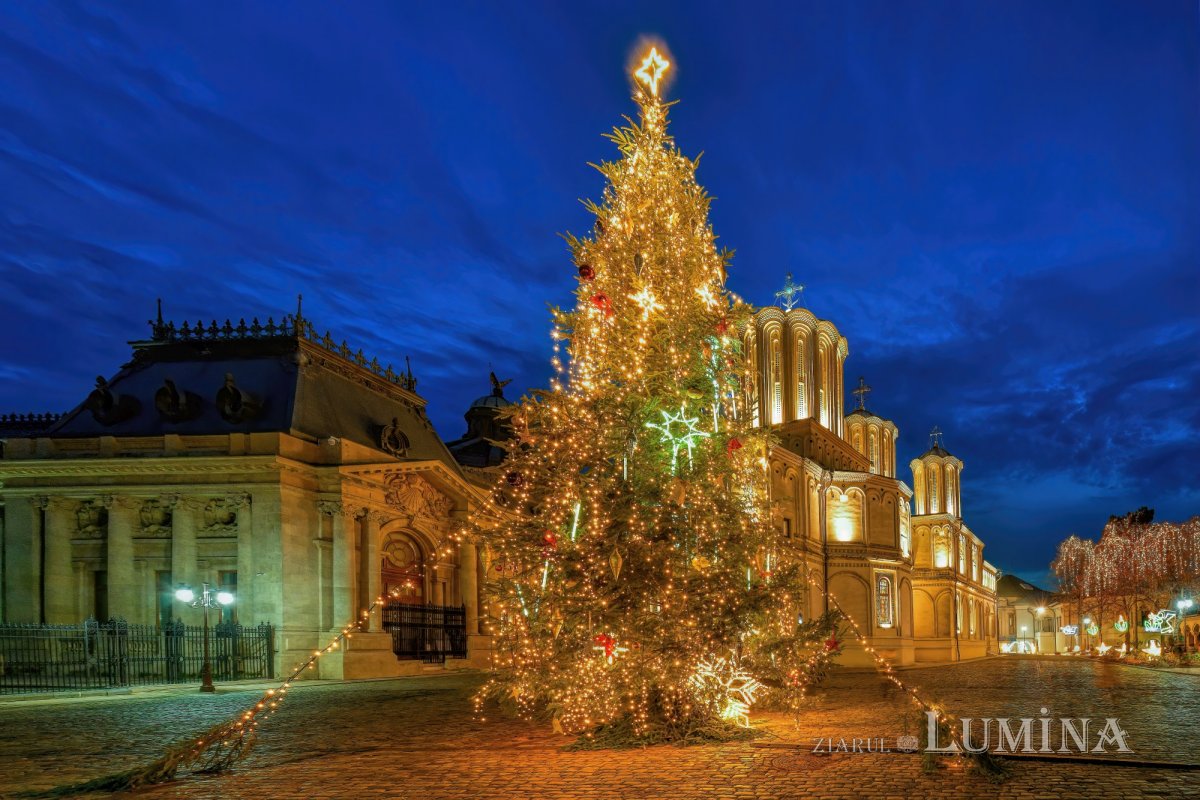 Rădăcinile creștine ale bradului de Crăciun: o reevaluare teologică și istorică 319692
