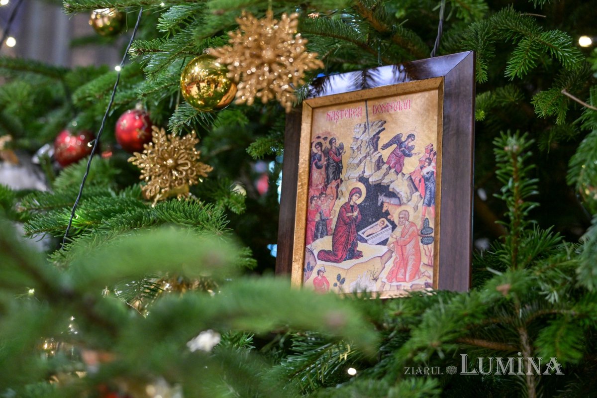 „Vine-o stea  să ne colinde“  319678