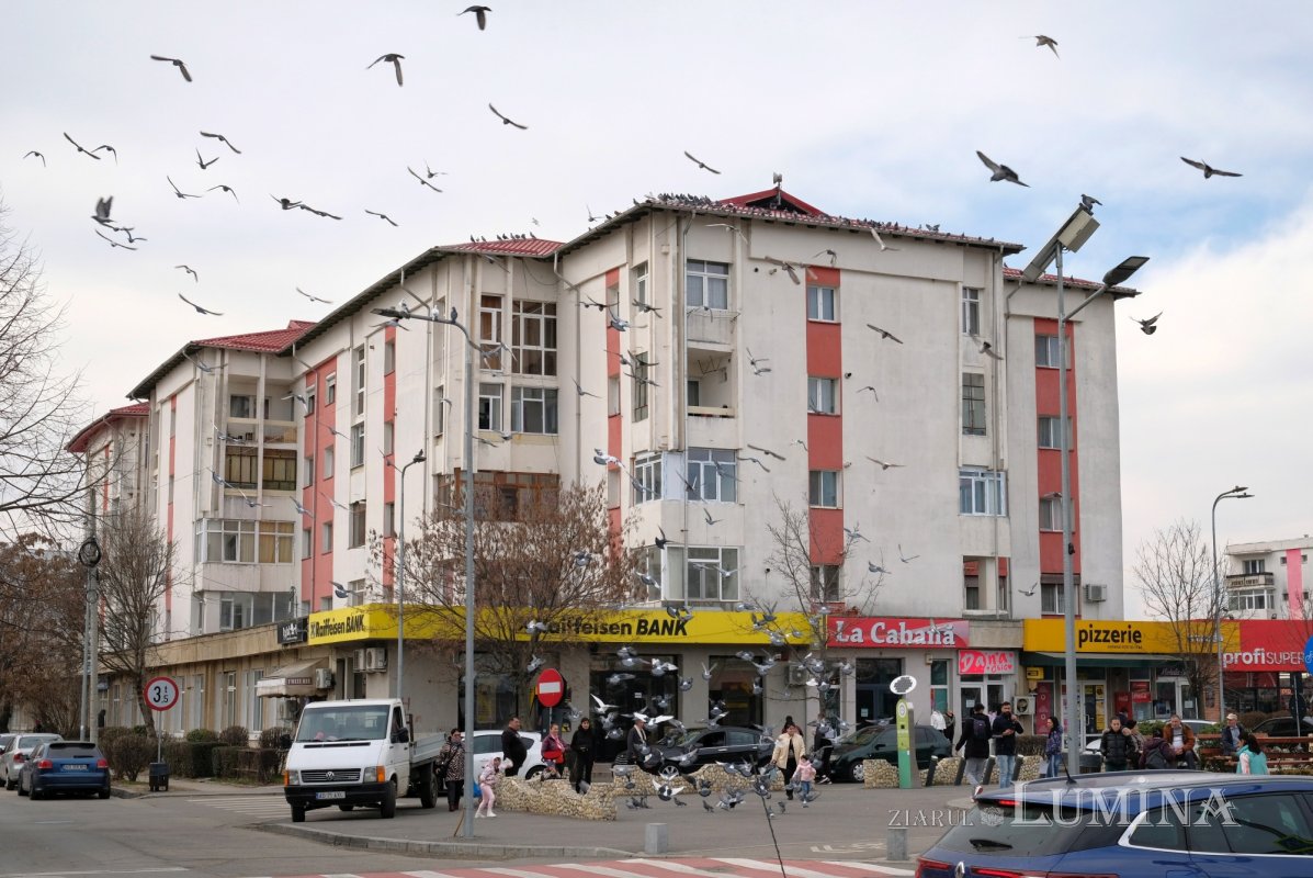 Aveți ce vedea în Topoloveni! 324349