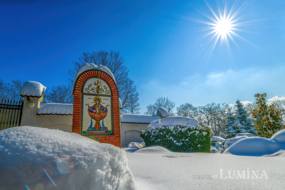 Sclipirile Luminii: Frumuseţea naturii iernatice 324867