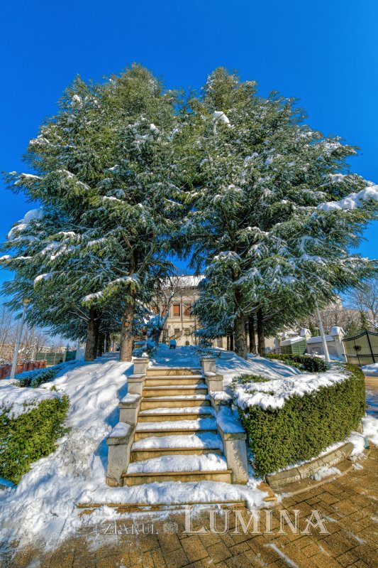 Sclipirile Luminii: Frumuseţea naturii iernatice 324868