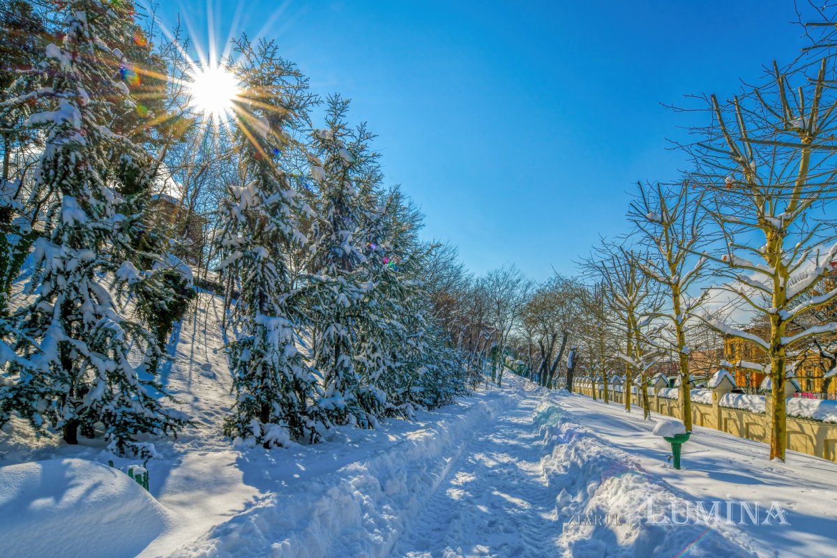 Sclipirile Luminii: Frumuseţea naturii iernatice 324869