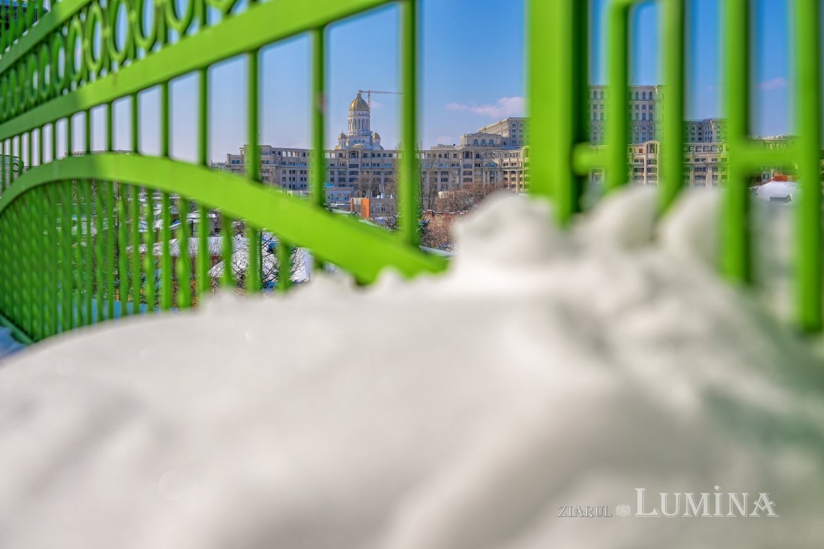 Sclipirile Luminii: Frumuseţea naturii iernatice 324870