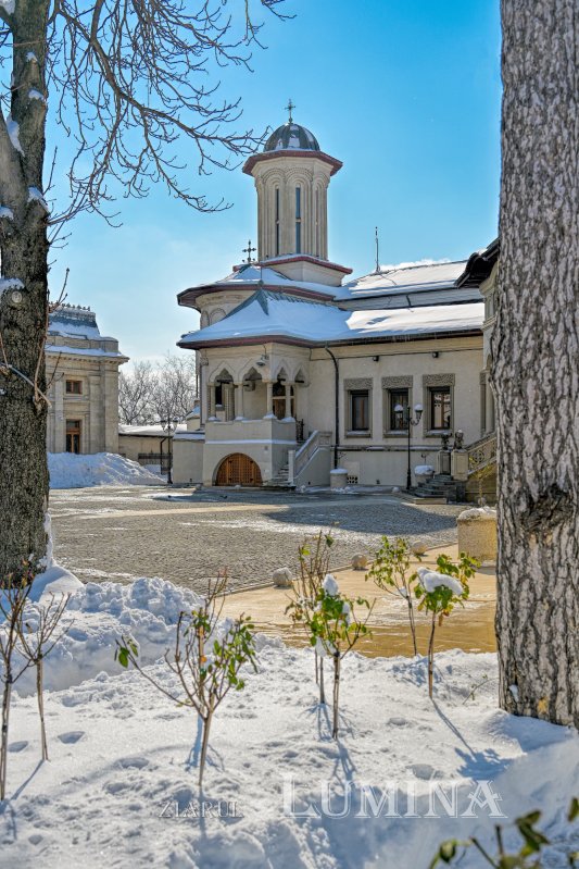 Sclipirile Luminii: Frumuseţea naturii iernatice 324871