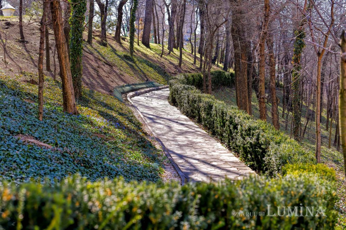 Sclipirile Luminii: Primăvară în Parcul „Grădina Maicii Domnului” al Reşedinţei Patriarhale - 2025 327119