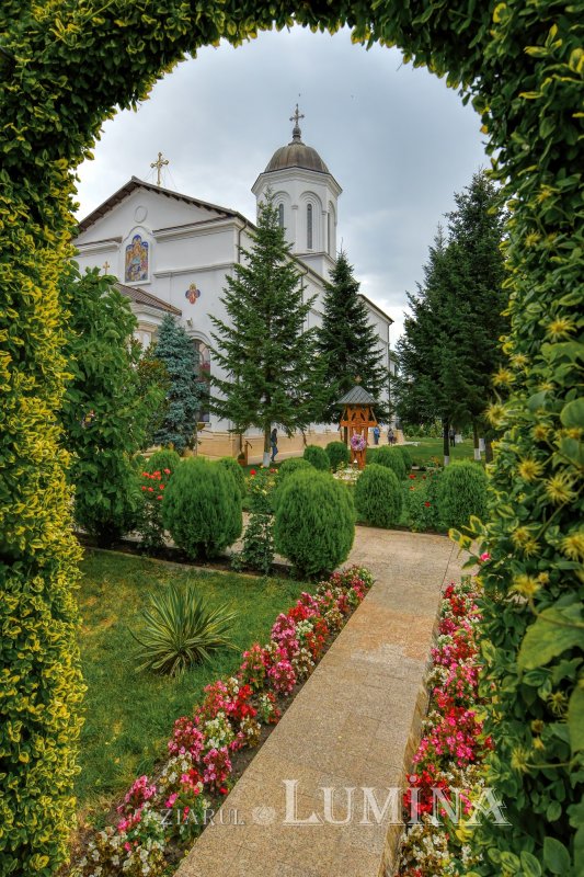 Calea cea bună 327991