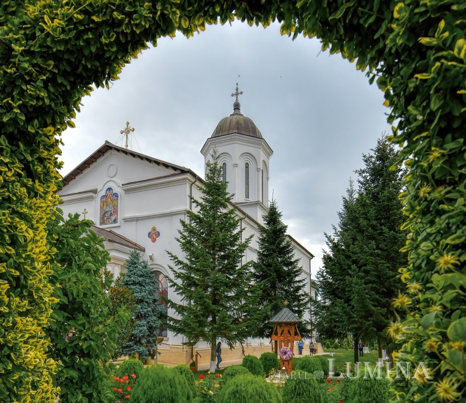 Calea cea bună 327992