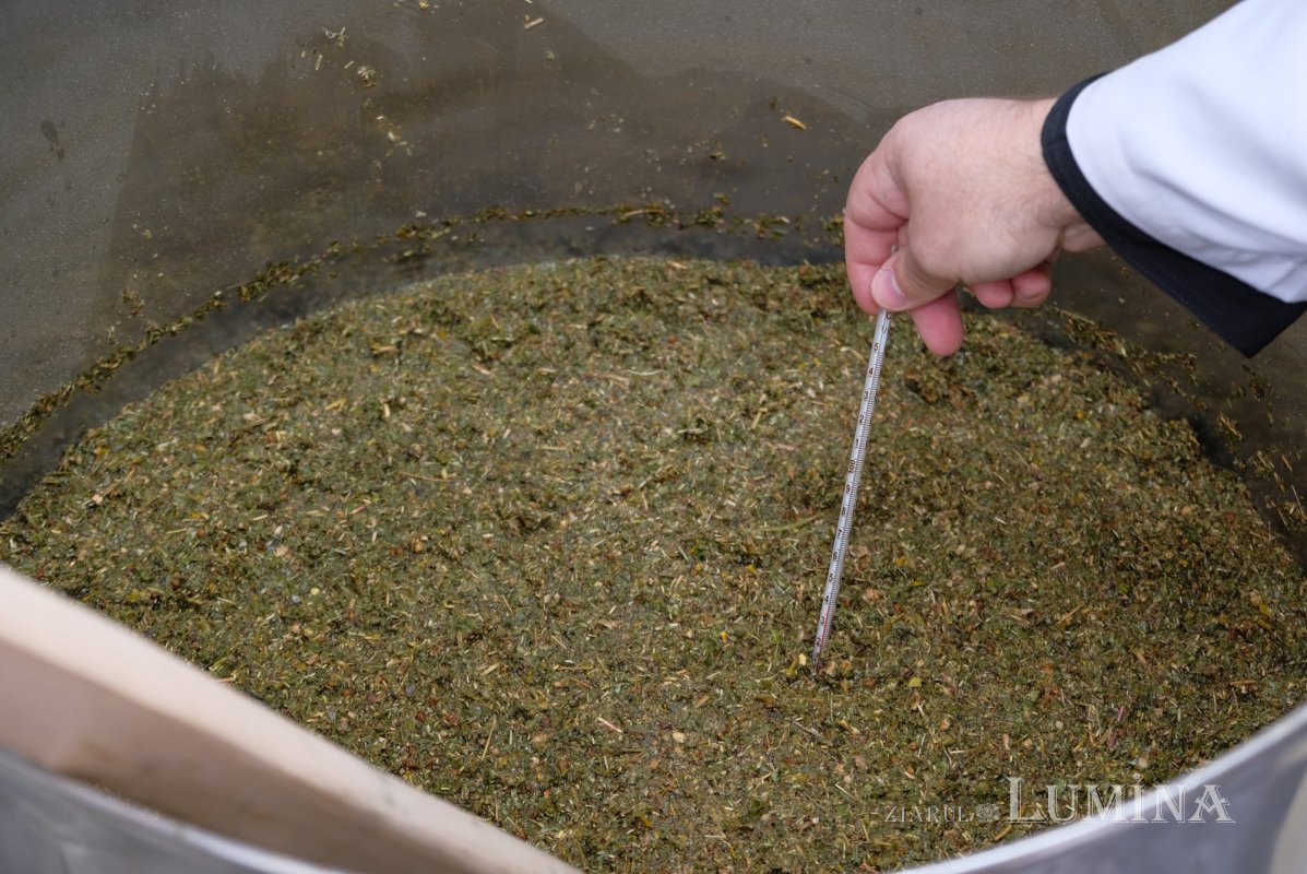 A doua zi a pregătirii Marelui Mir în Anul Centenar 328809