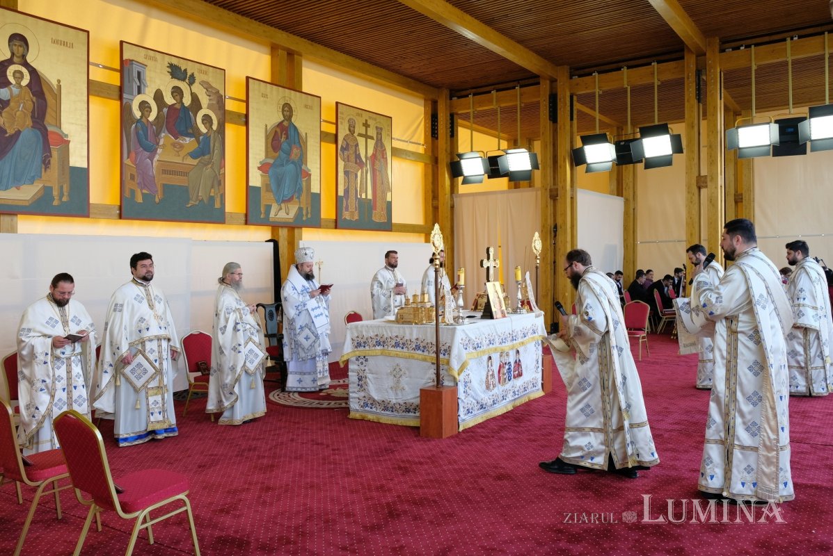 Cinstirea Izvorului Tămăduirilor  Maicii Domnului pe Colina Bucuriei 329789