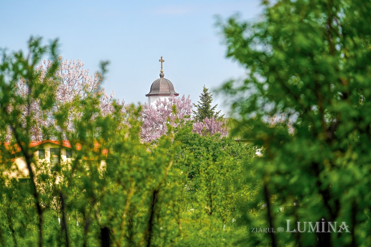 Pelerini la „Via Domnului” 330663