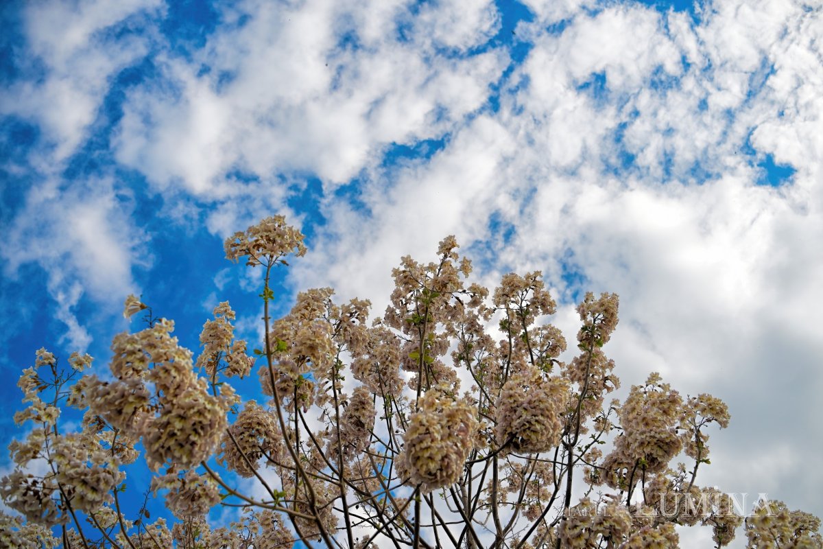 Pelerini la „Via Domnului” 330665