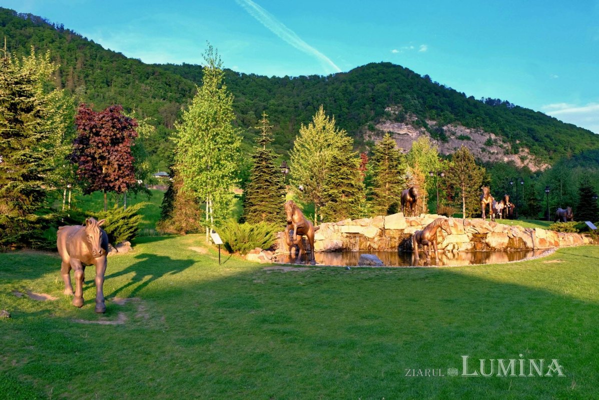 Sclipirile Luminii: Istorie şi credinţă pe Valea Oltului, judeţul Vâlcea 330884