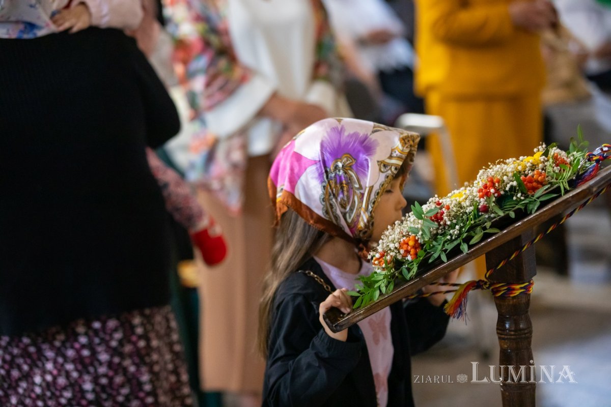 Avantajele tăcerii 288696