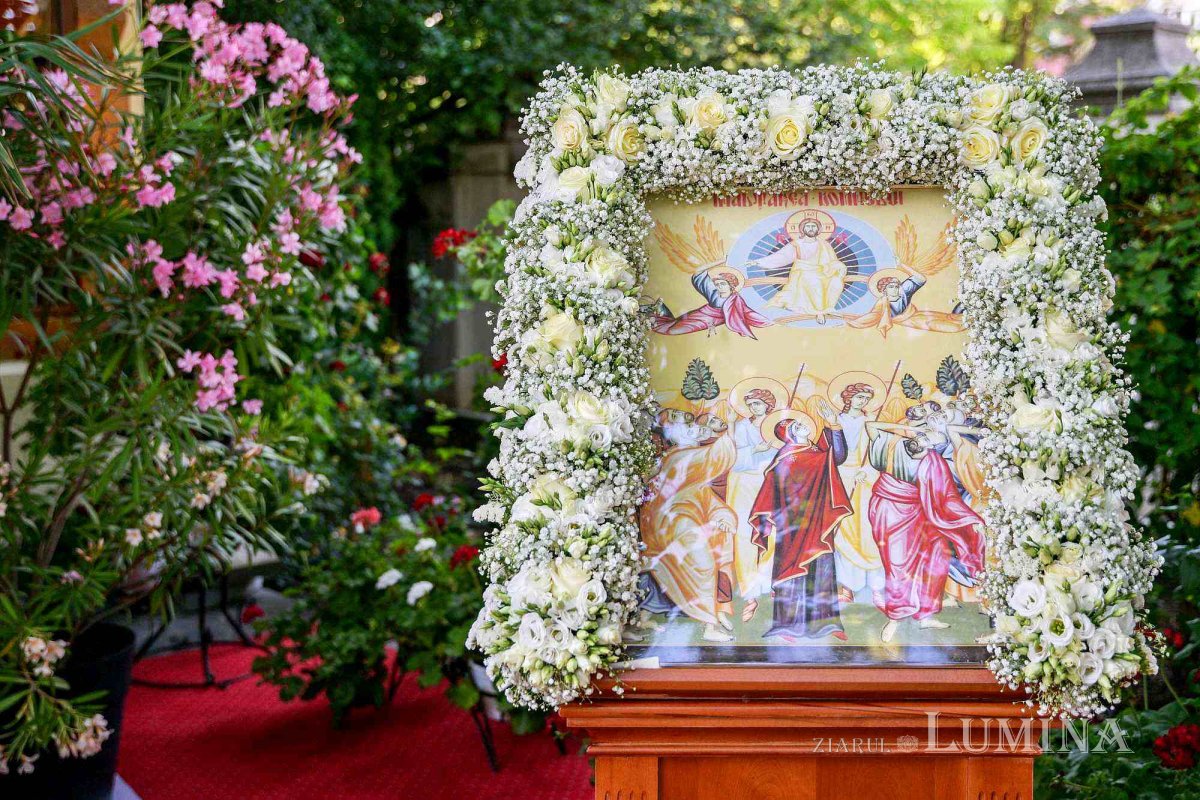 Fapte 1, 1-12 299528