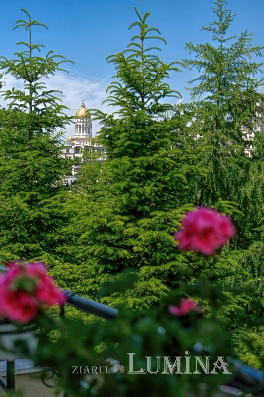 Sclipirile Luminii: Parcul „Grădina Maicii Domnului” al Reşedinţei Patriarhale din Bucureşti 333010