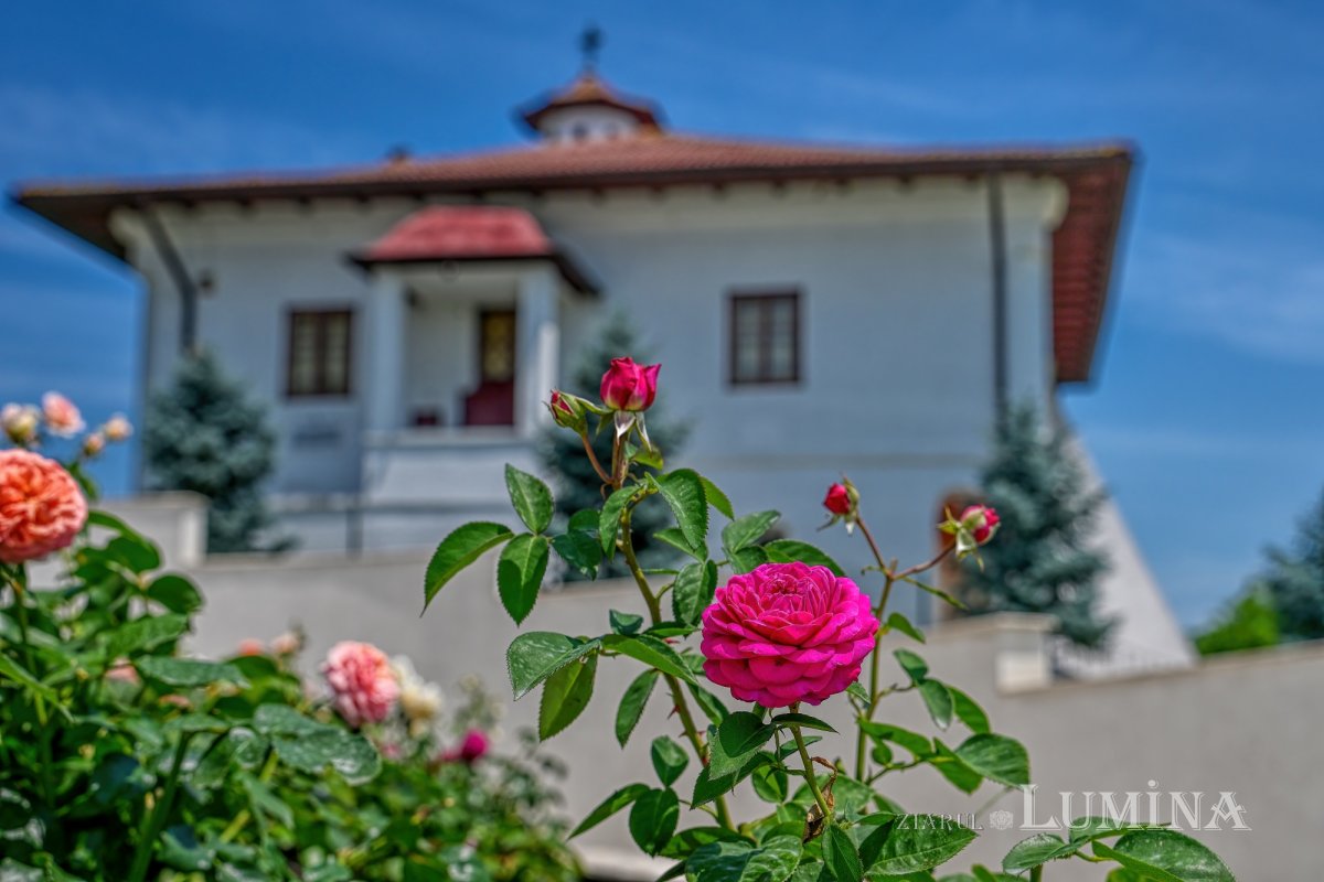 Sclipirile Luminii: Ostrovul Mănăstirii Cernica din judeţul Ilfov 335631