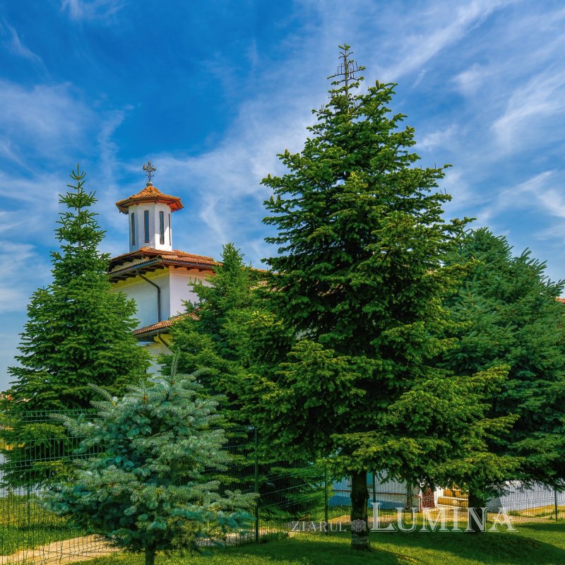 Sclipirile Luminii: Ostrovul Mănăstirii Cernica din judeţul Ilfov 335632