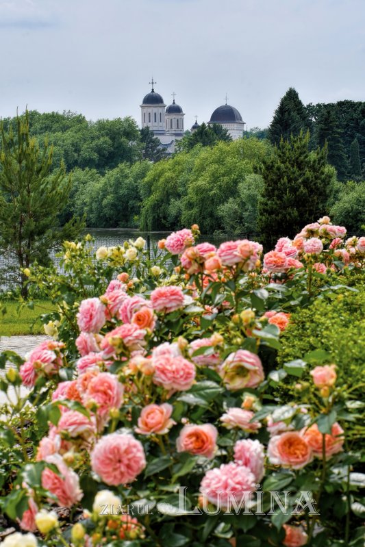 Sclipirile Luminii: Ostrovul Mănăstirii Cernica din judeţul Ilfov 335633