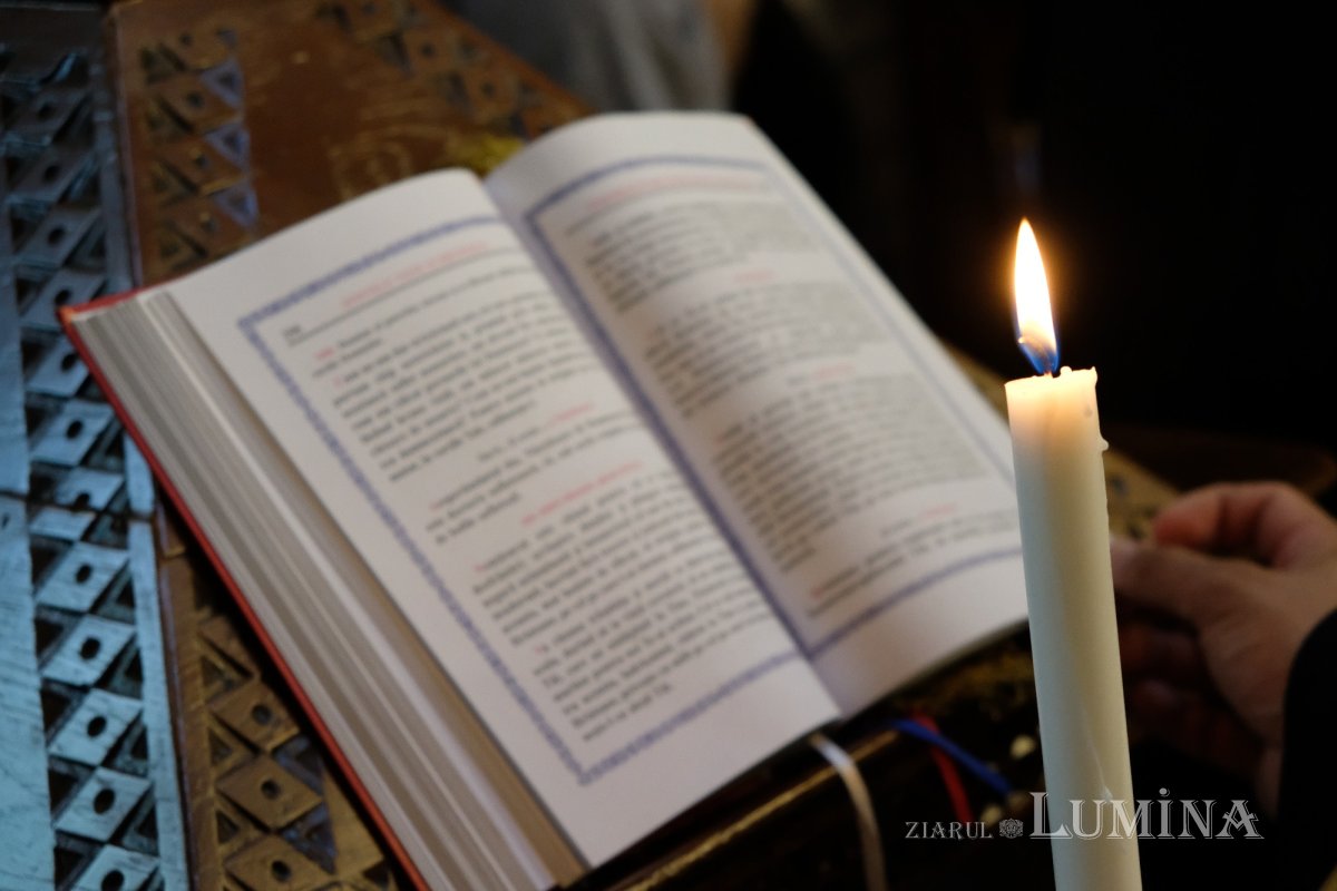 Pericolul nestăpânirii 337481