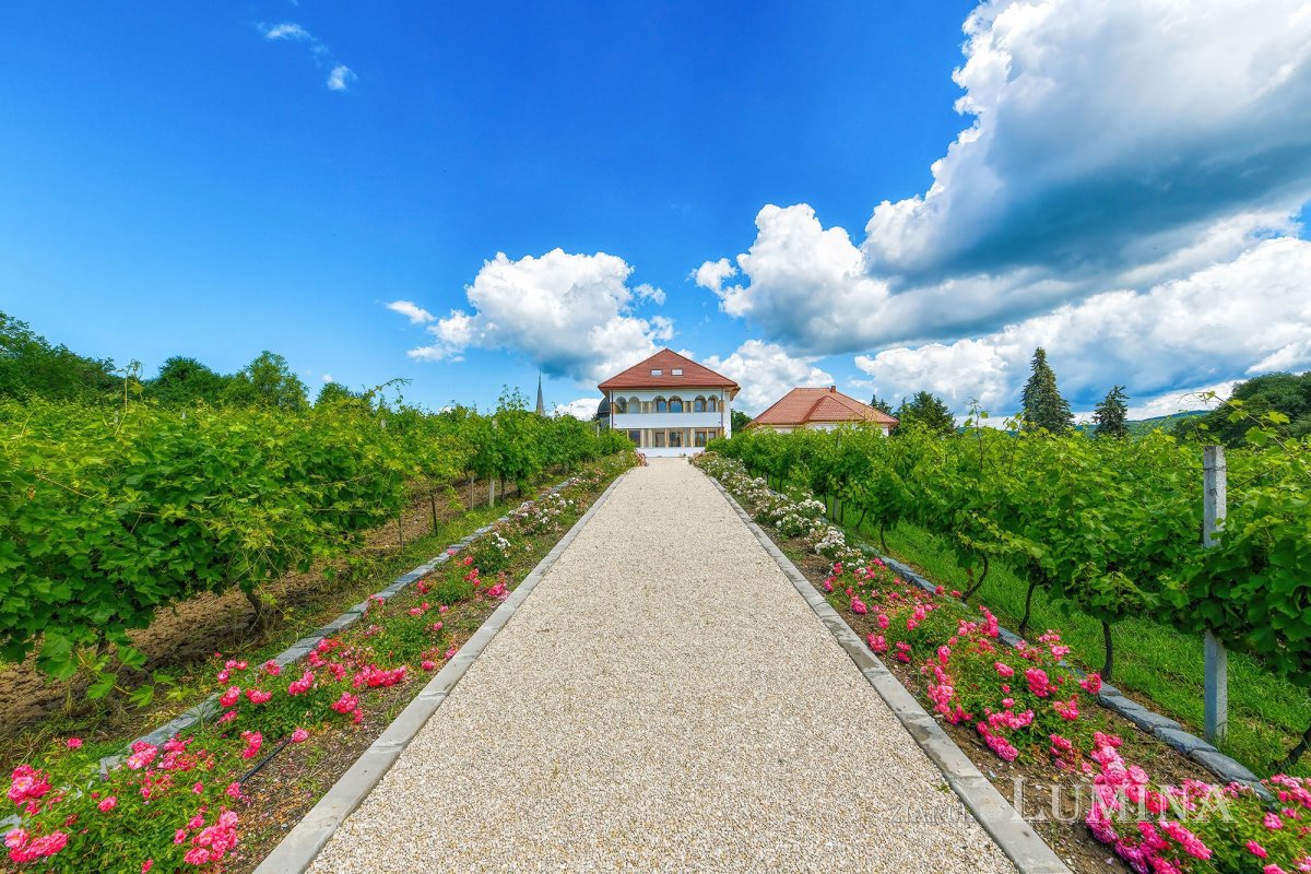 Sclipirile Luminii: Mănăstirea Jercălăi 337744