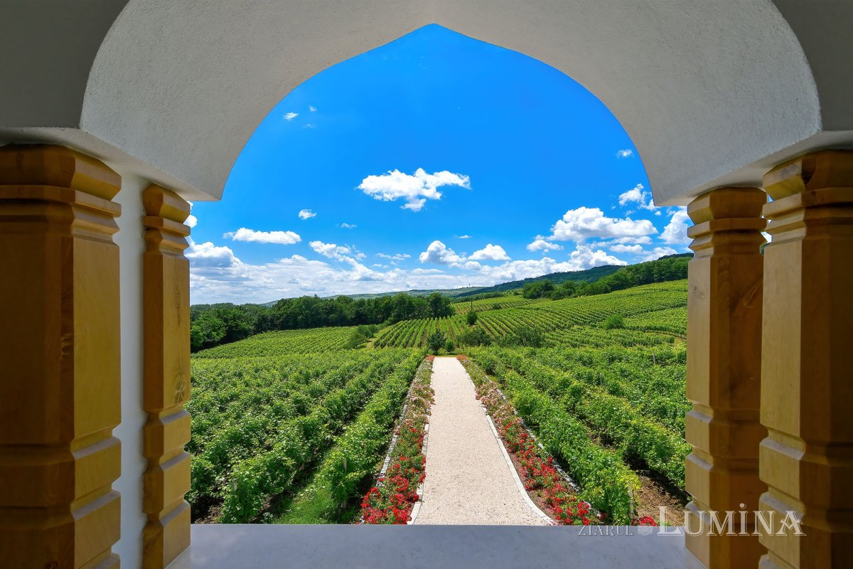 Sclipirile Luminii: Mănăstirea Jercălăi 337746