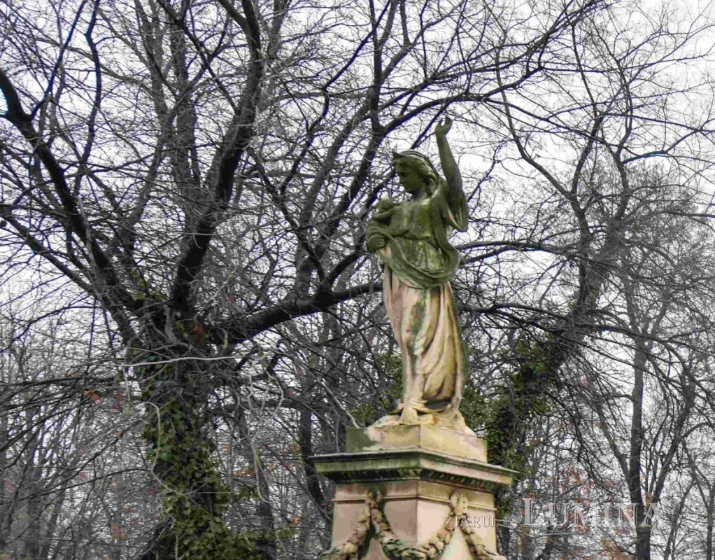 Câte femei sunt ucise de „iubiții” lor? 338321