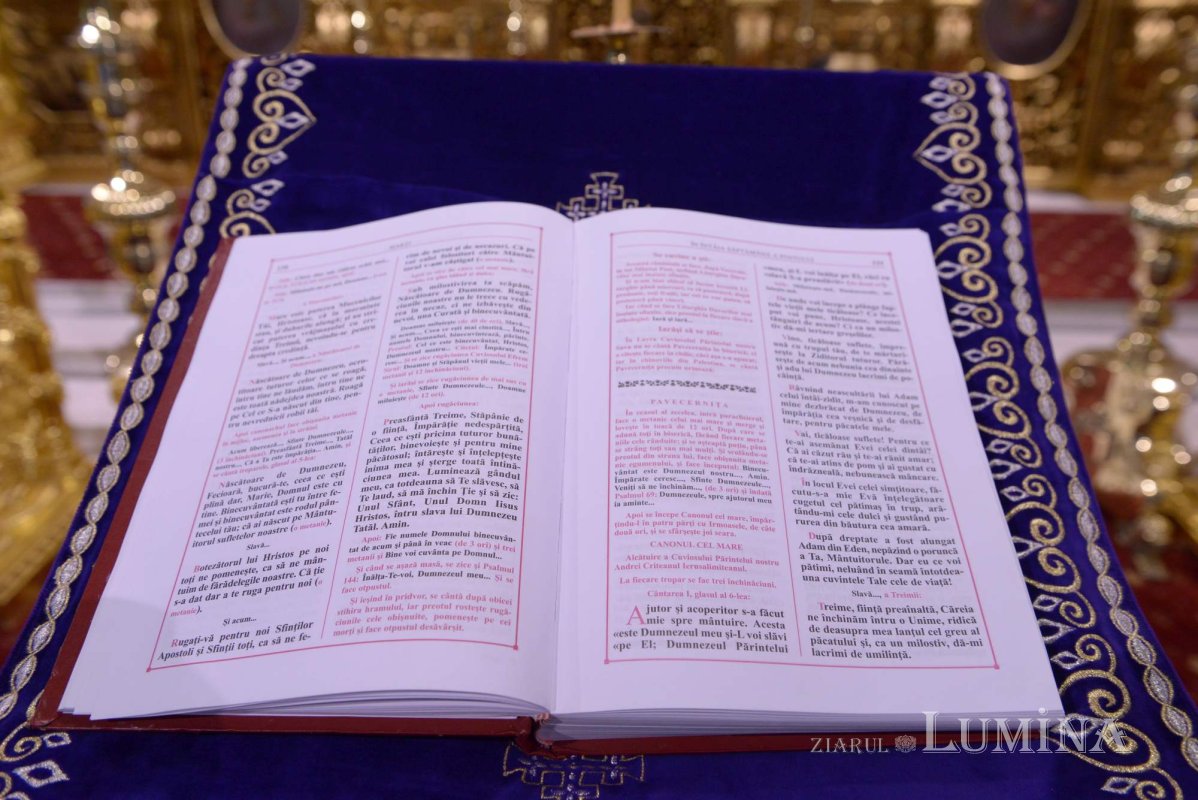 Pocăința păcătoșilor 290620