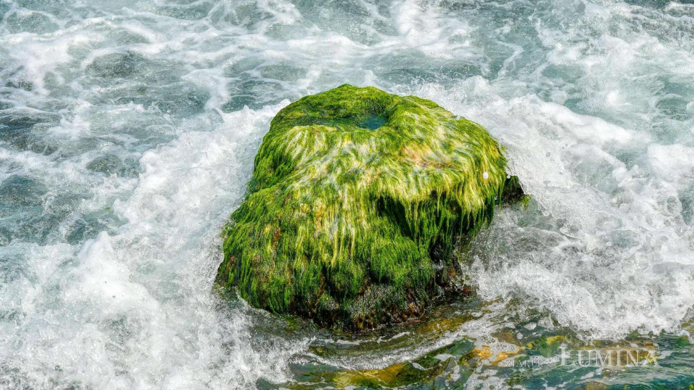 Ce lăsăm de moștenit 339508