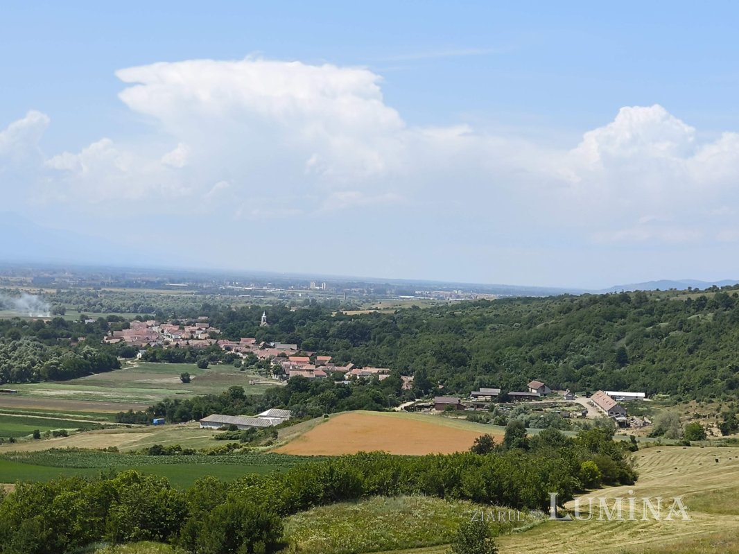 Șona, o lume înrudită cu văzduhul 340154