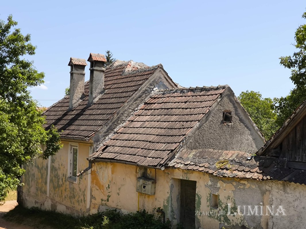 Șona, o lume înrudită cu văzduhul 340157