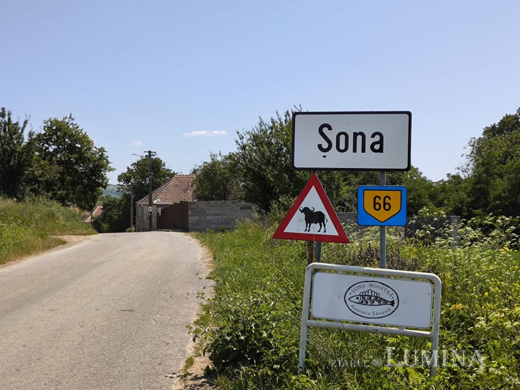 Șona, o lume înrudită cu văzduhul 340163