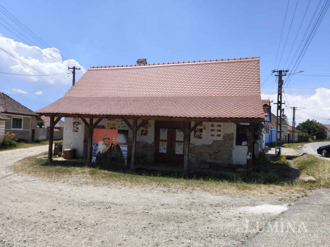 Șona, o lume înrudită cu văzduhul 340166