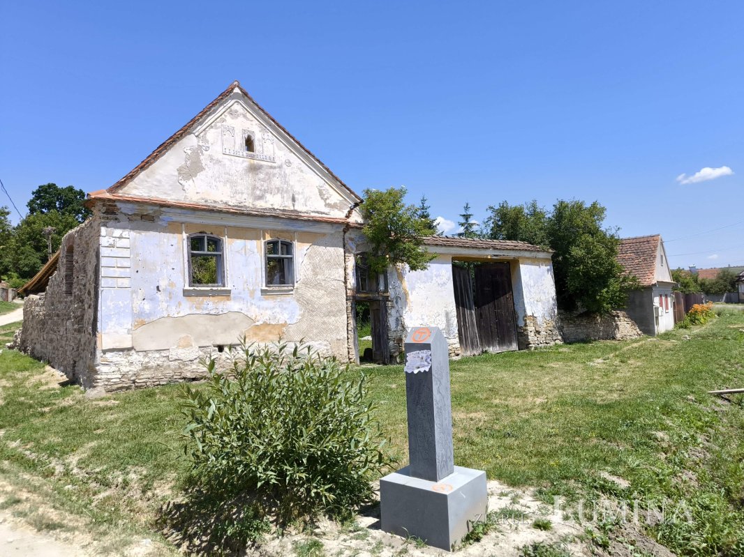 Șona, o lume înrudită cu văzduhul 340168