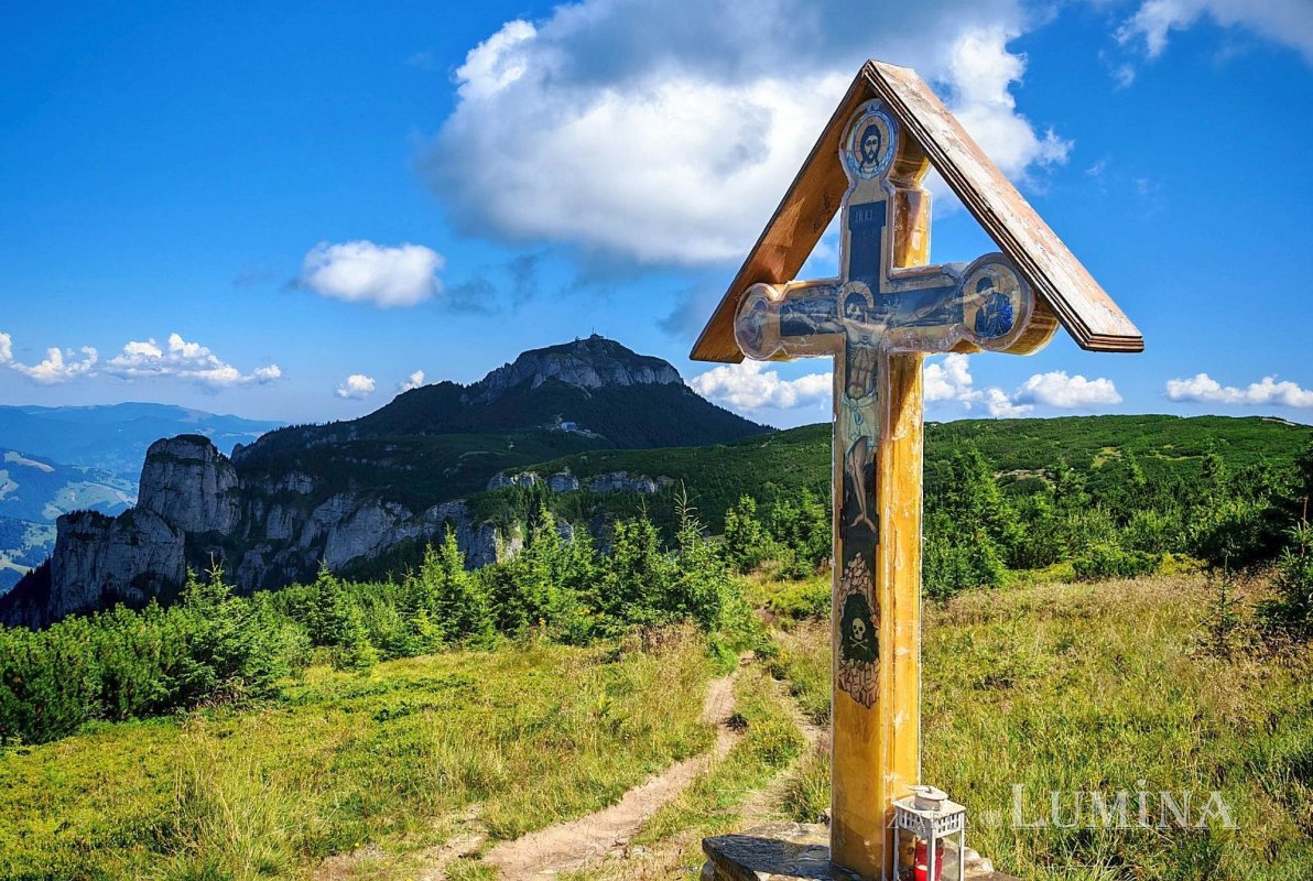 Lumina Care a venit în lume 341279