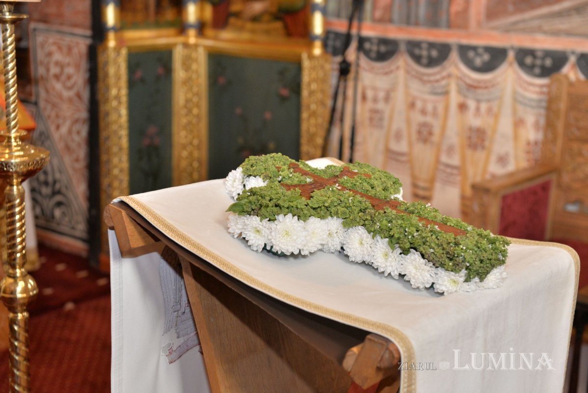 „Crucea lui Hristos este semnul iubirii care învinge păcatul și moartea” 341576