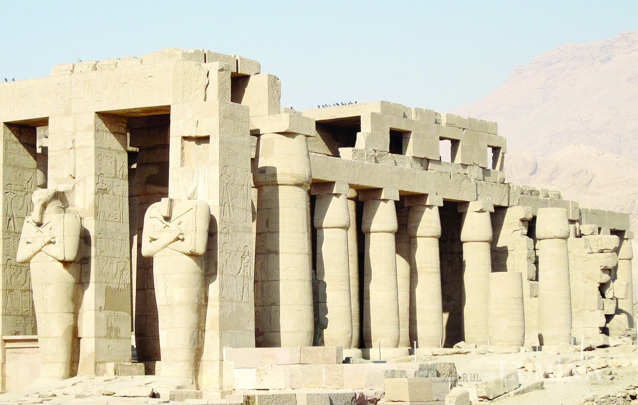 Ambalaj proteic 344786