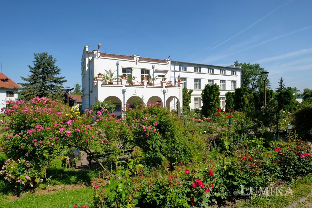 Plimbare printre zece mii de specii de plante 344794