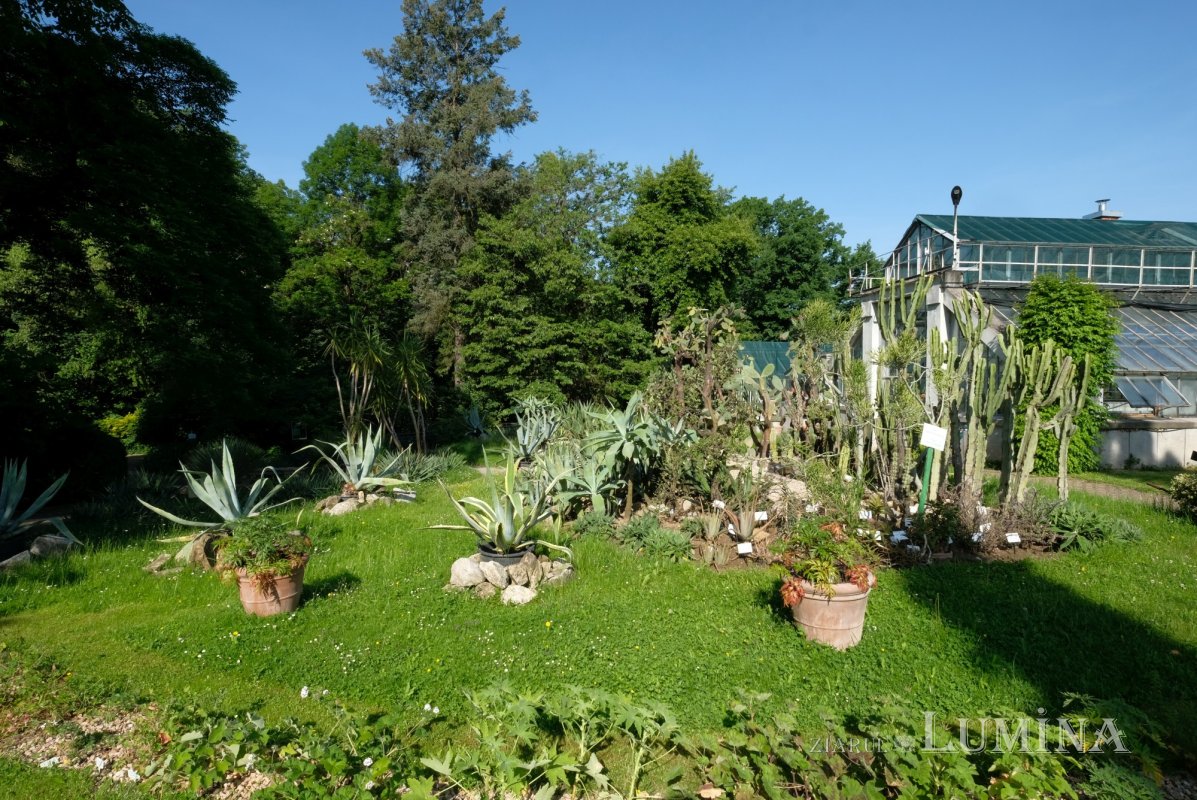 Plimbare printre zece mii de specii de plante 344795