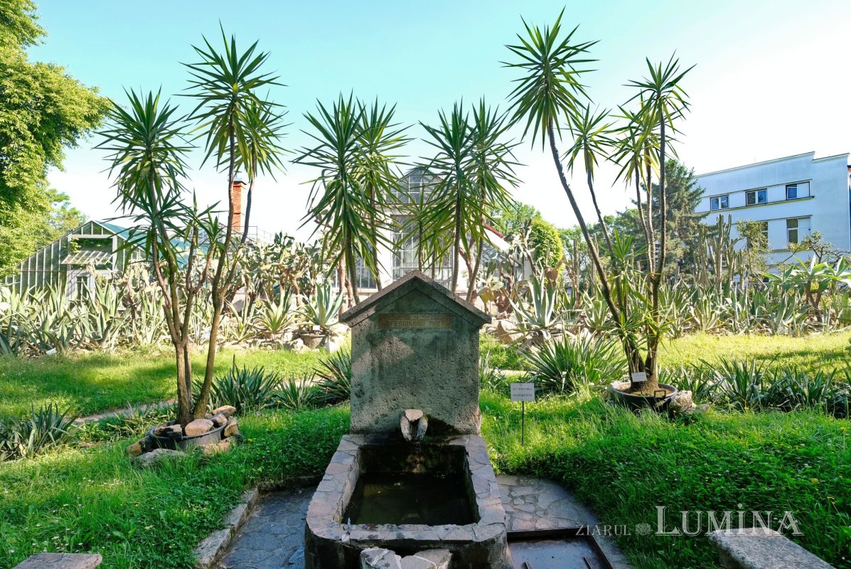 Plimbare printre zece mii de specii de plante 344796