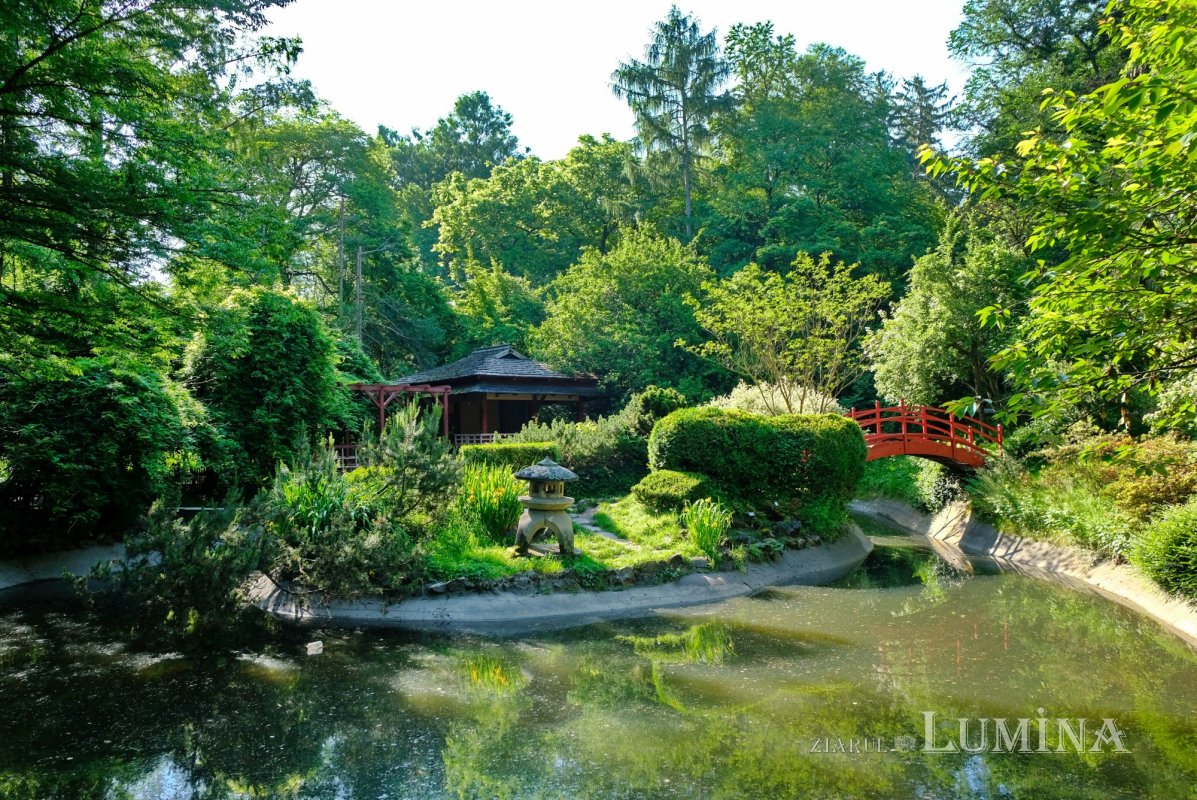 Plimbare printre zece mii de specii de plante 344798